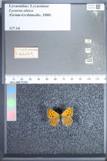 Media type: image;   Entomology 64793